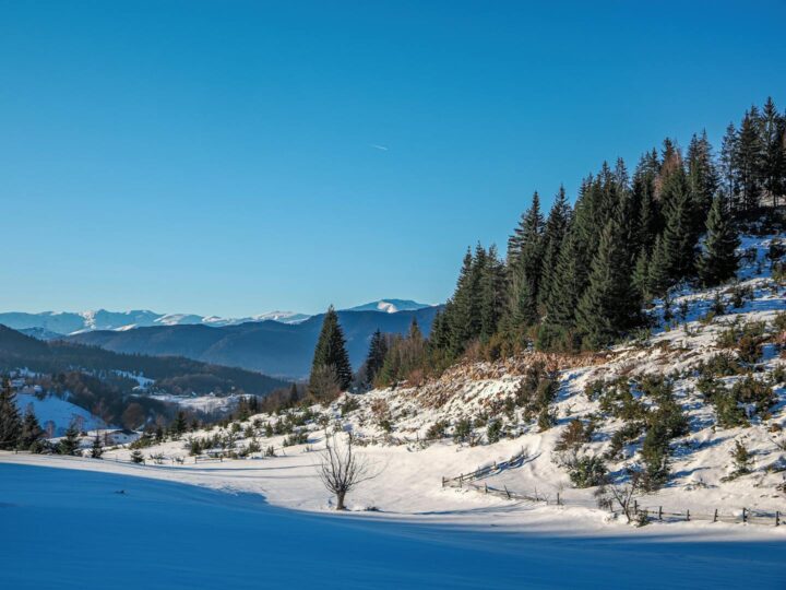 Grditea MunceluluiCioclovina Naturpark