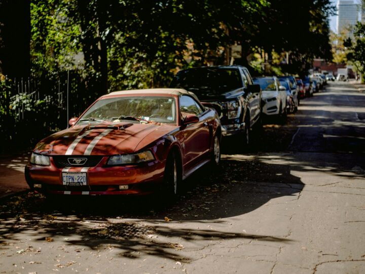 Museu Cobra