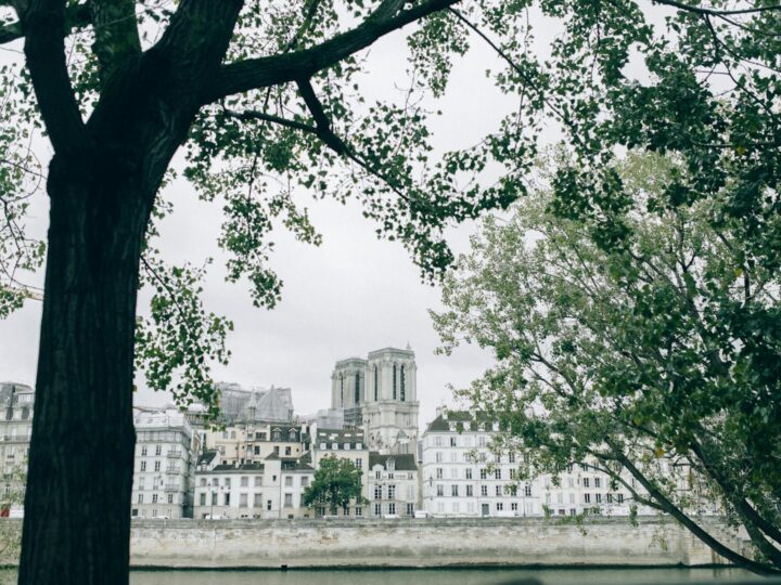 Kathedrale NotreDame von Paris
