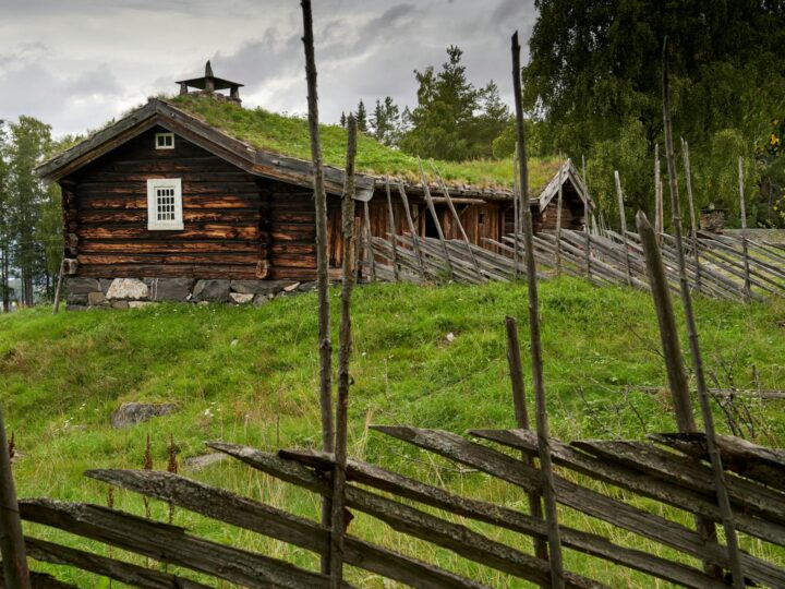 Skansen del fiume Pilica