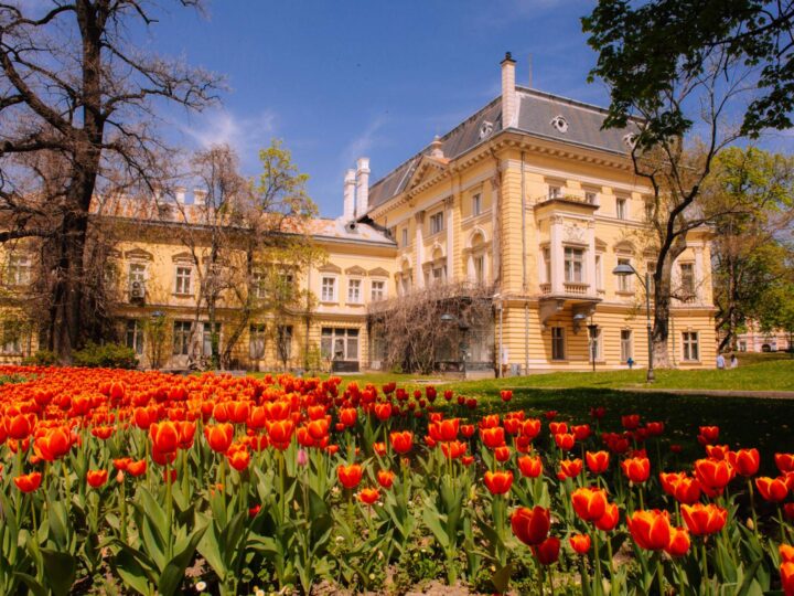 Parco Regina Sofia