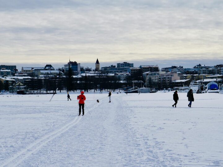 Псочний замок Лаппентранта