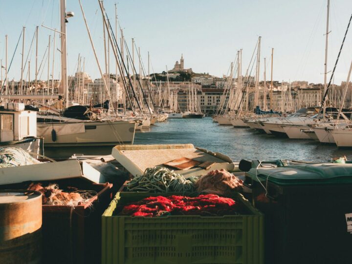 Marina di Tomaszw Mazowiecki sul Pilica
