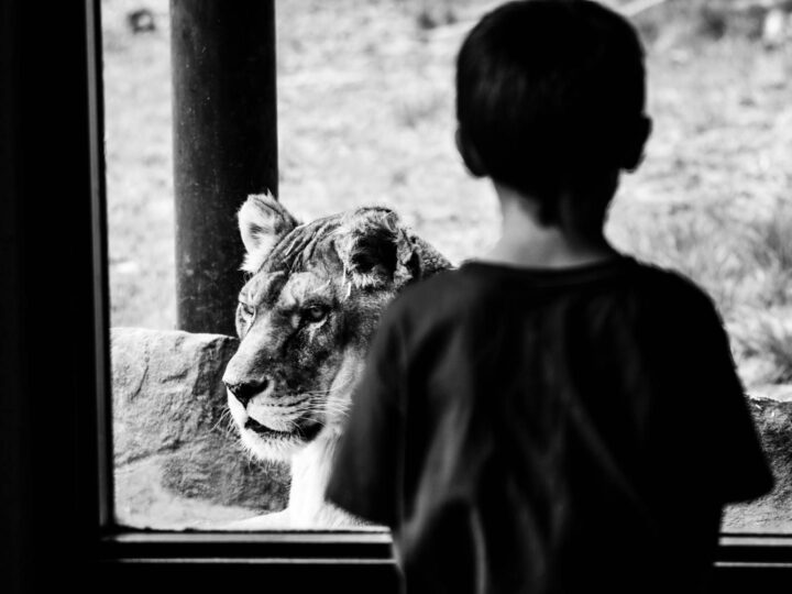 Zoo Lubin  Centro de educacin ambiental