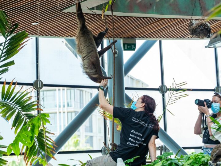 Zoo Lubin  Centro de educacin ambiental