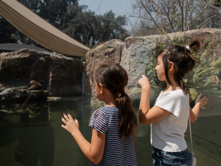 Zoo Lubin  Centro de educacin ambiental