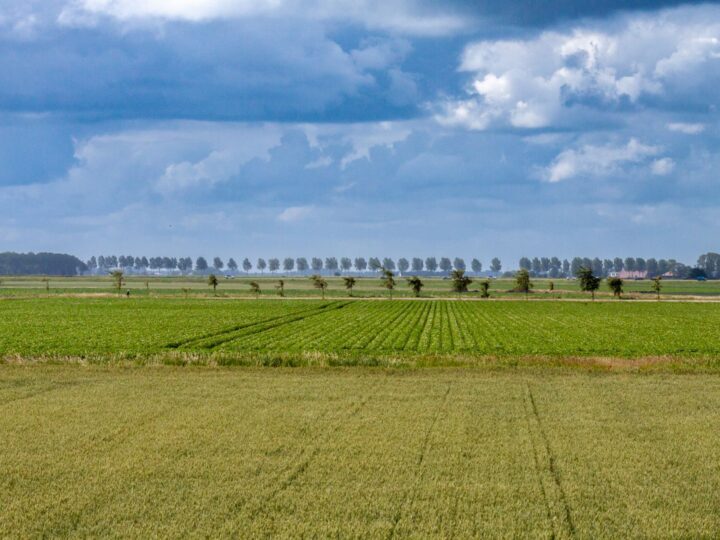 Netherlands