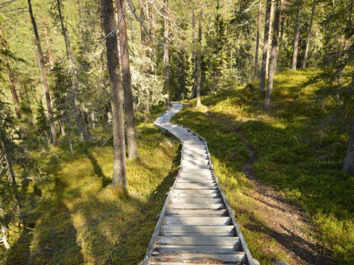 Finland
